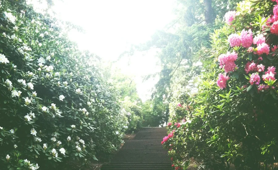 WILL YOU PRAY FOR ME?