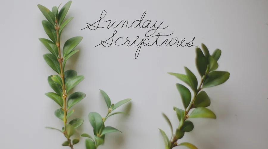 SUNDAY SCRIPTURES
