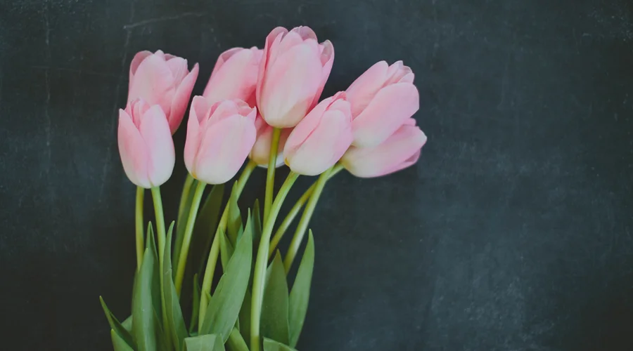 A Letter to My Girls