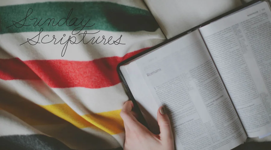 SUNDAY SCRIPTURES