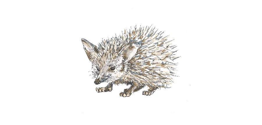 HE'S NOT YOUR PRINCE CHARMING: how to let go of all those hurts