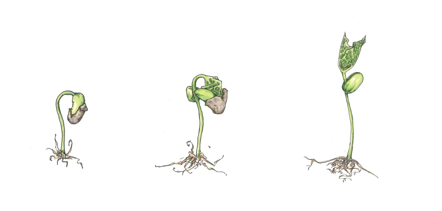 HE'S NOT YOUR PRINCE CHARMING: DARE TO LET HIM DREAM