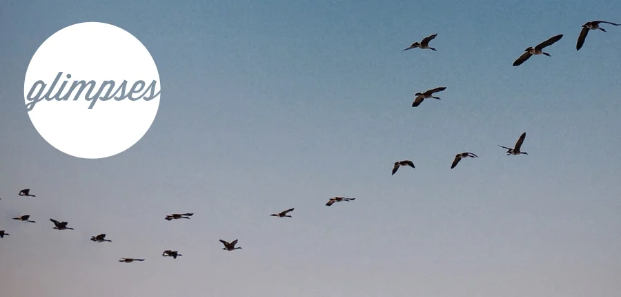 LESSONS I'M LEARNING ABOUT WORRY: part 2