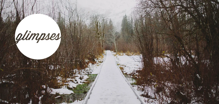 HOW TO READ THROUGH THE BIBLE THIS YEAR