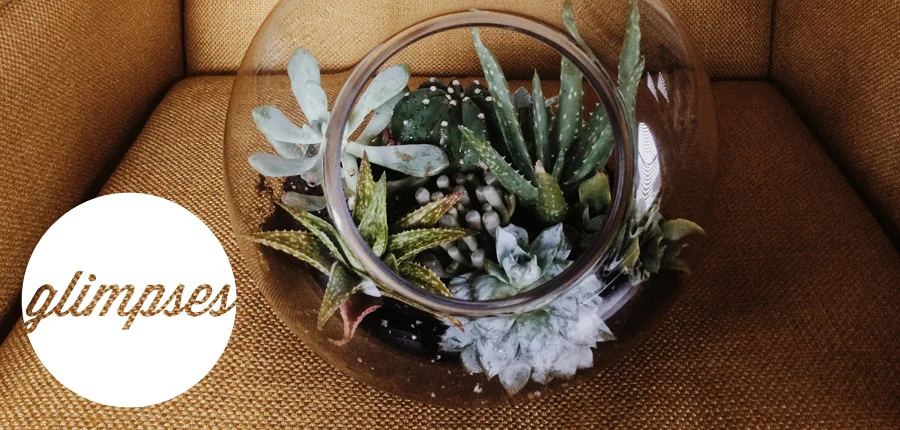 The Family I Always Wanted