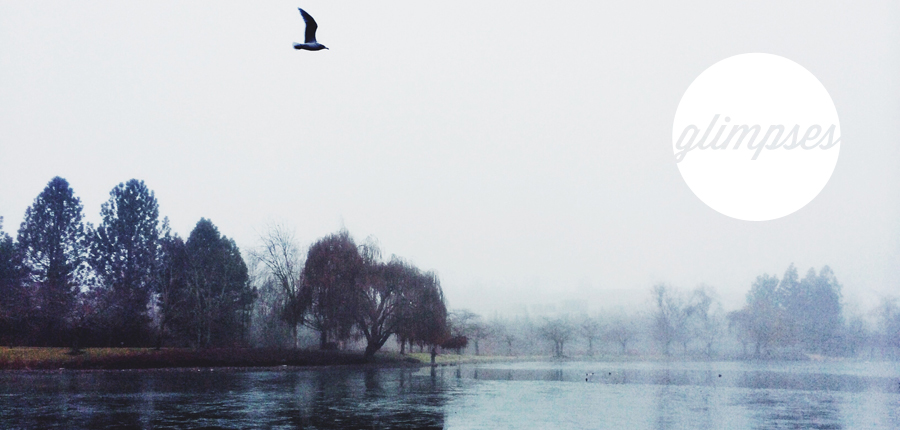 bird.jpg