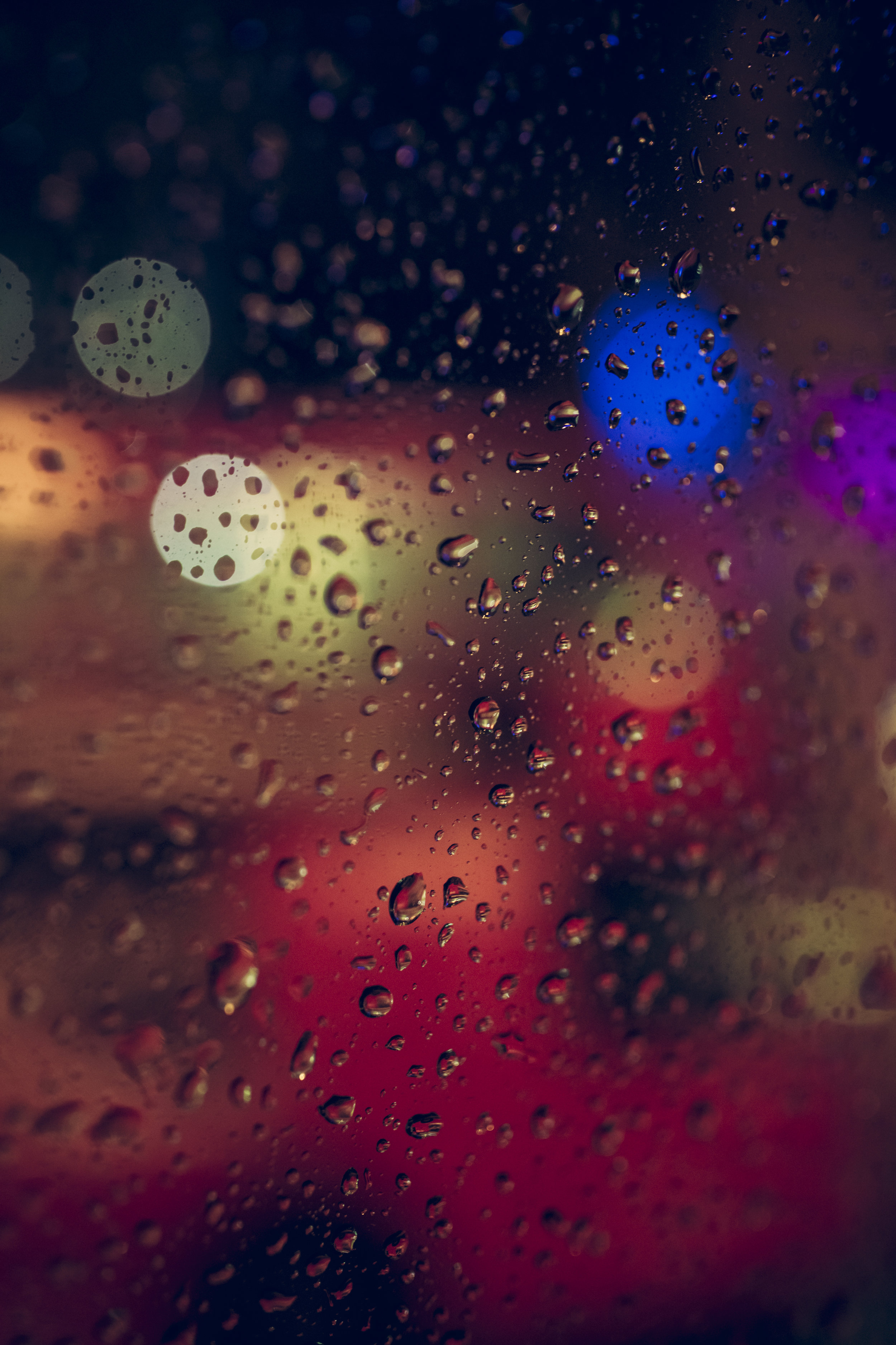 20160617-AD2A1915.jpg