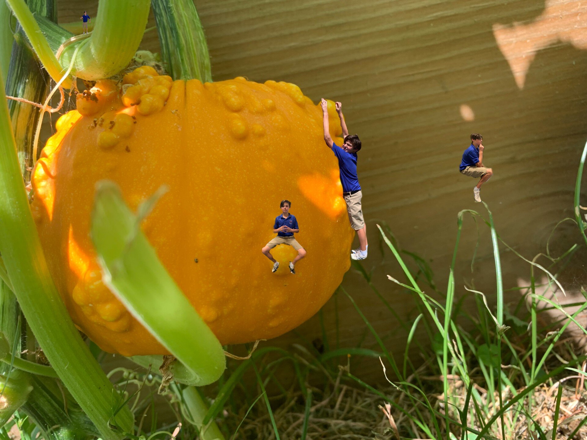 Dave and the pumpkin.jpeg