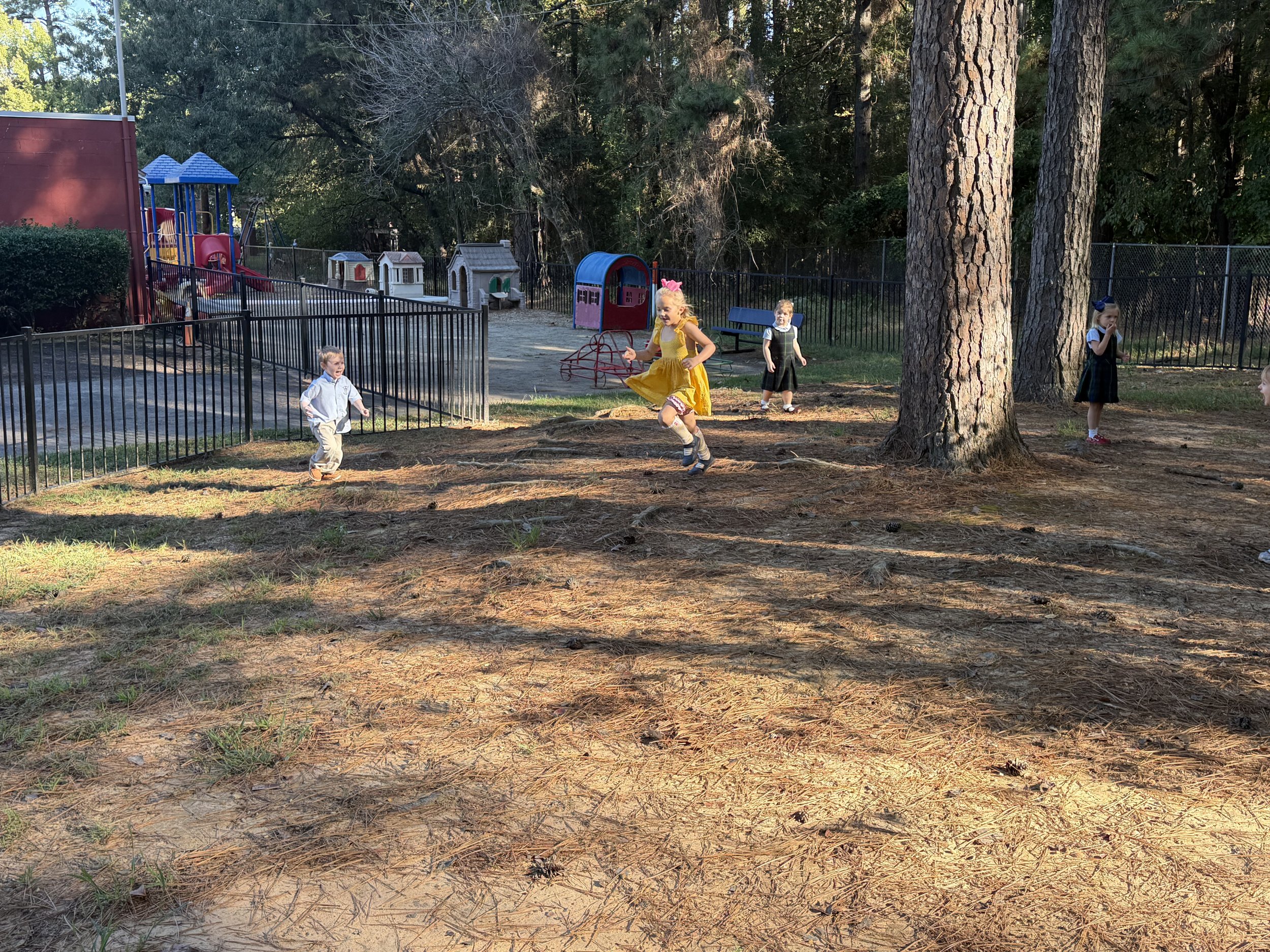 IMG_6211.jpeg