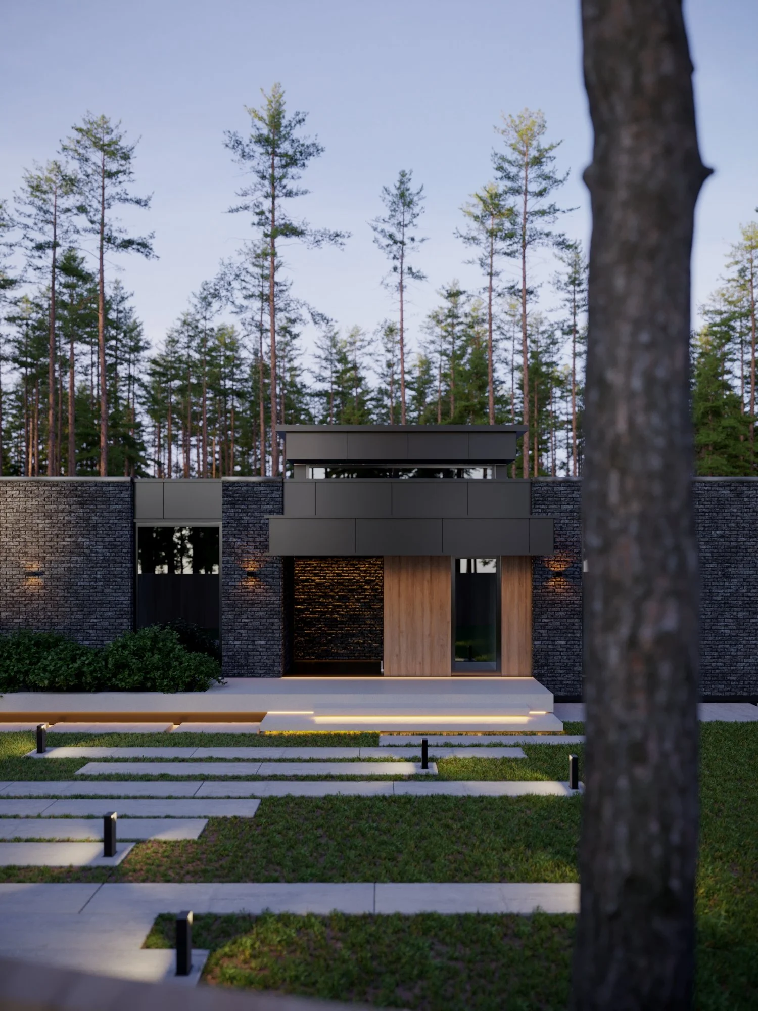 Forest_arch_070000.jpg