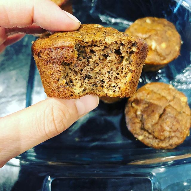 Lily and mama approved muffins. Sweetened only w bananas, love them for a snack for both of us. And, I have lily help me make them by putting bananas in closed ziplock bag and have her mash them with her hands. Oh, and kosher for Passover! - recipe i