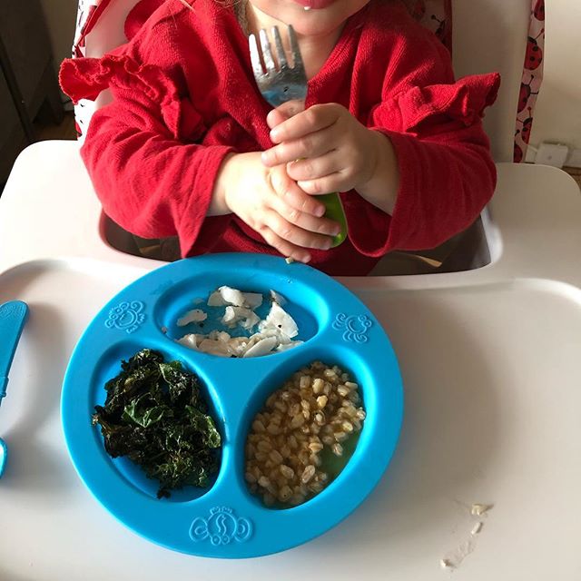Scenes from Lily&rsquo;s dinner while her mama was speaking at an event: Chilean sea bass, farro, kale. When your toddler&rsquo;s dinner is fancier than yours #nutritionistproblems #tinytaster #futurefoodie #babyfoodie #toddlereats #momlife #kidfood 