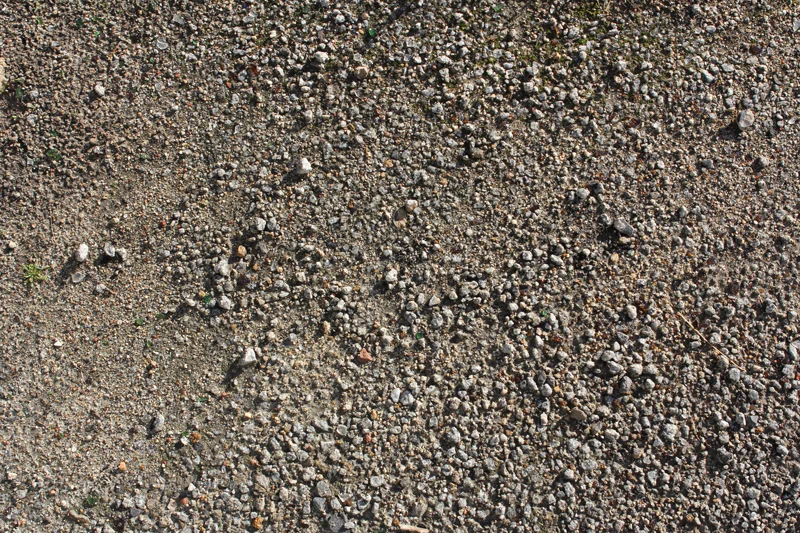 IMG_9580.jpg