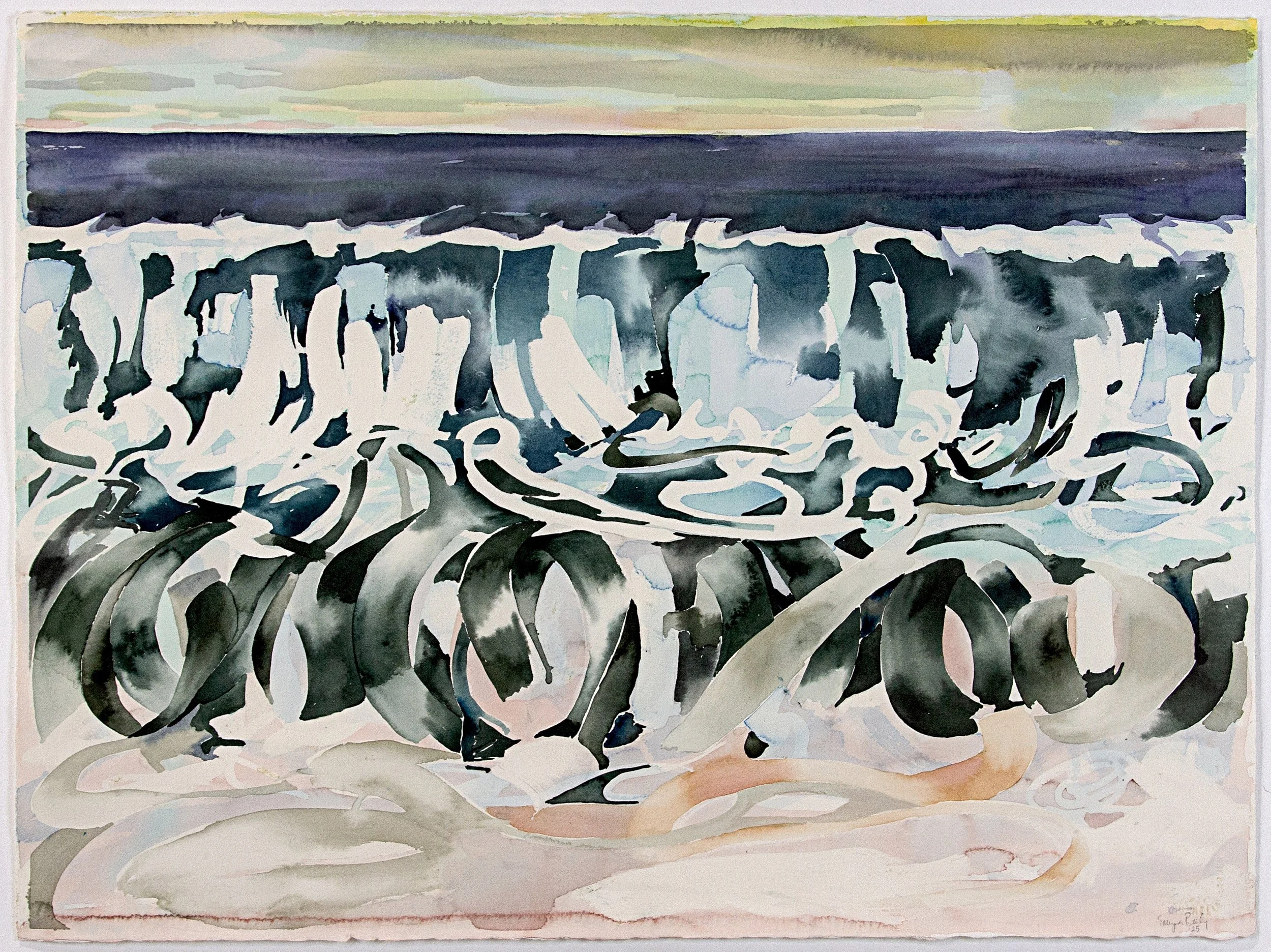 Caper   watercolour on paper   56x76cm SOLD