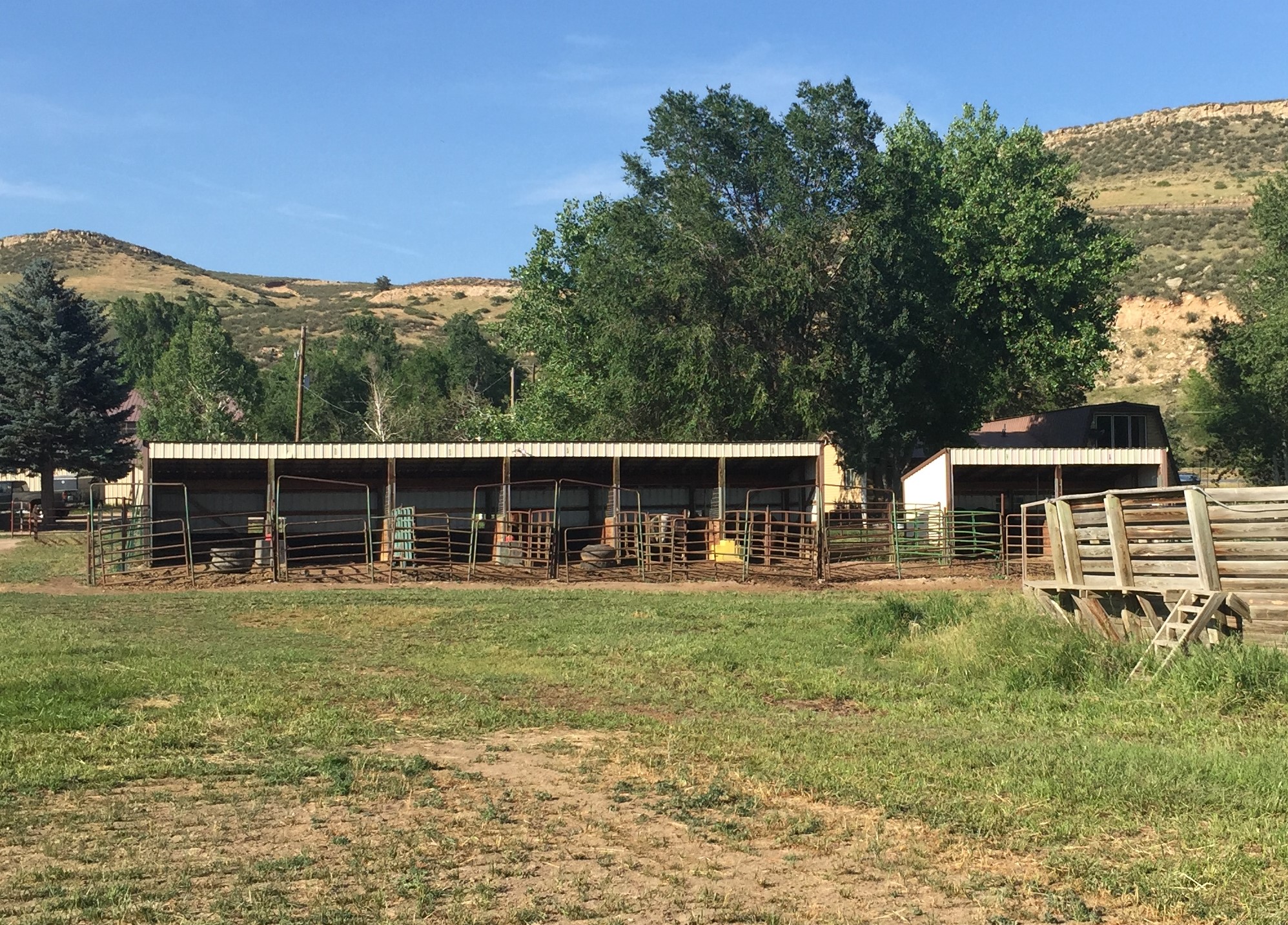 Sheds With Runs