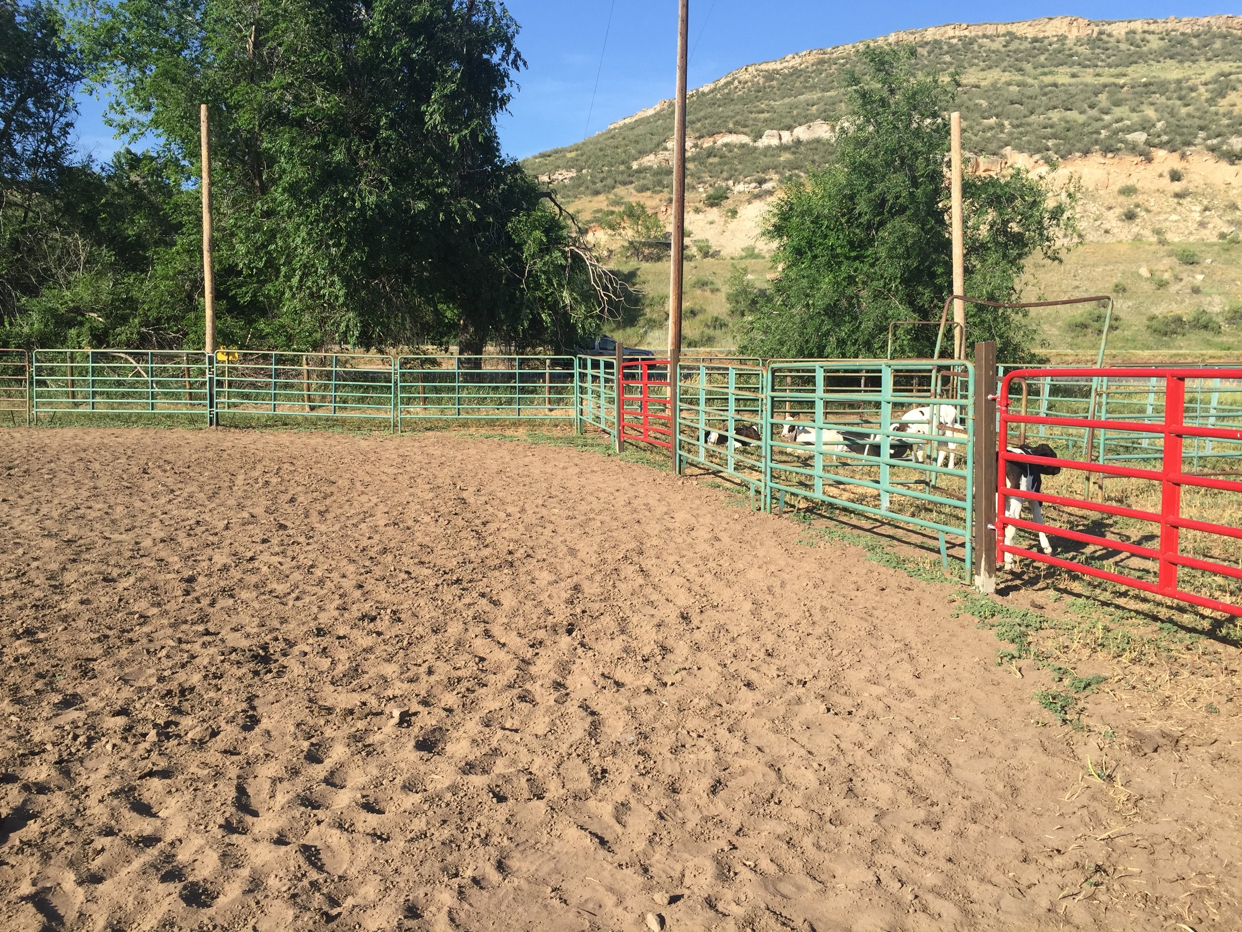 Outdoor Roping Arena