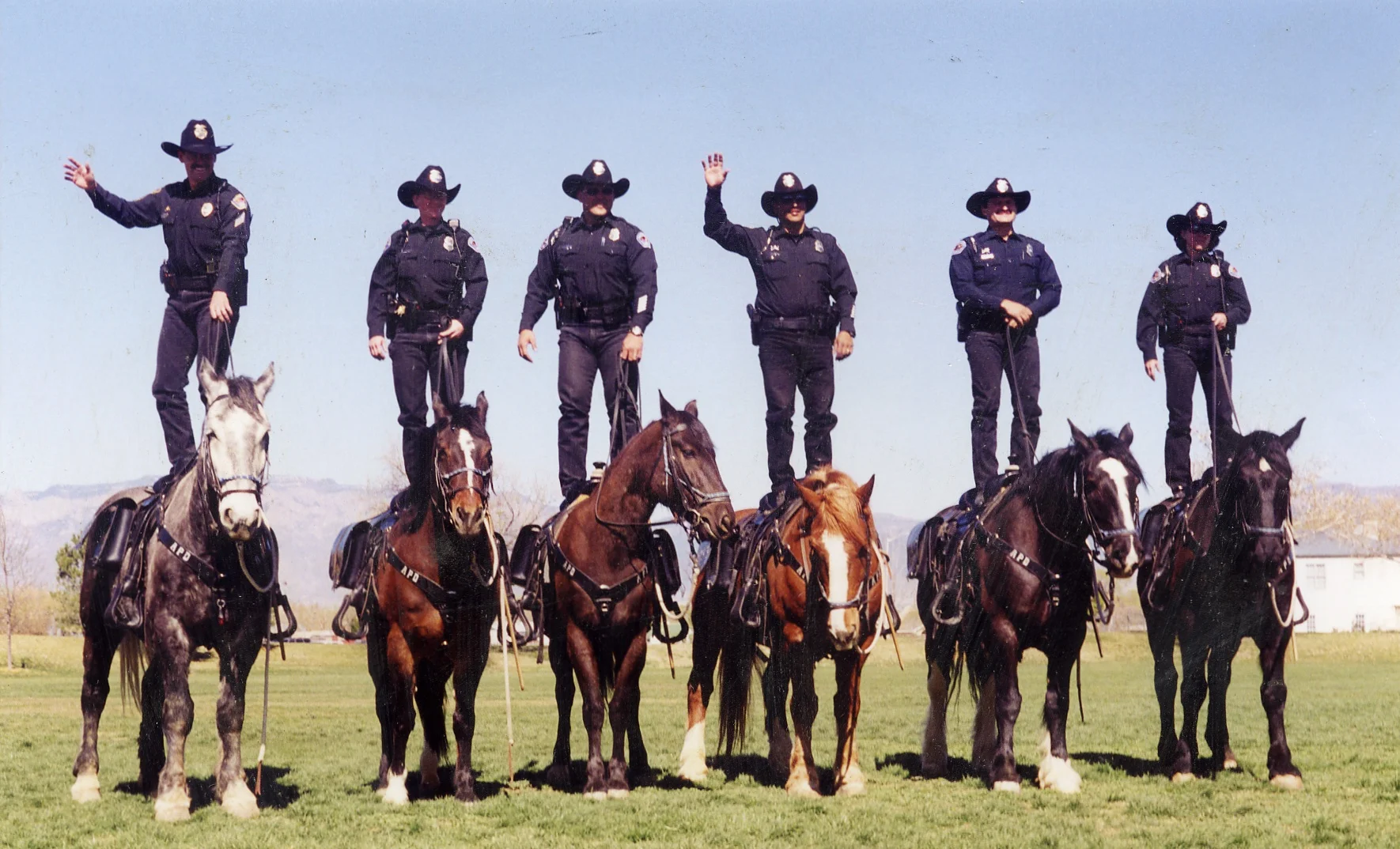 APD Mounted unit2.JPG