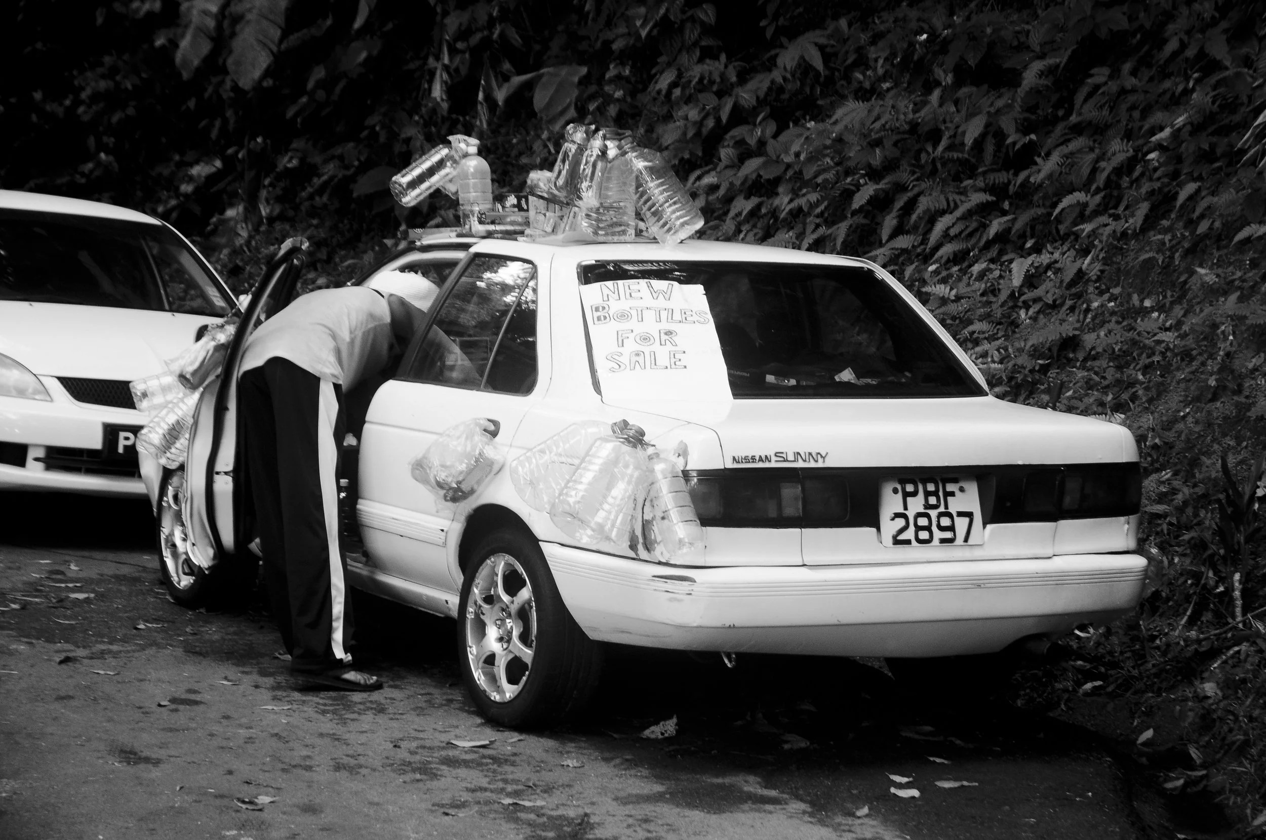 DSC_0065 (2).JPG