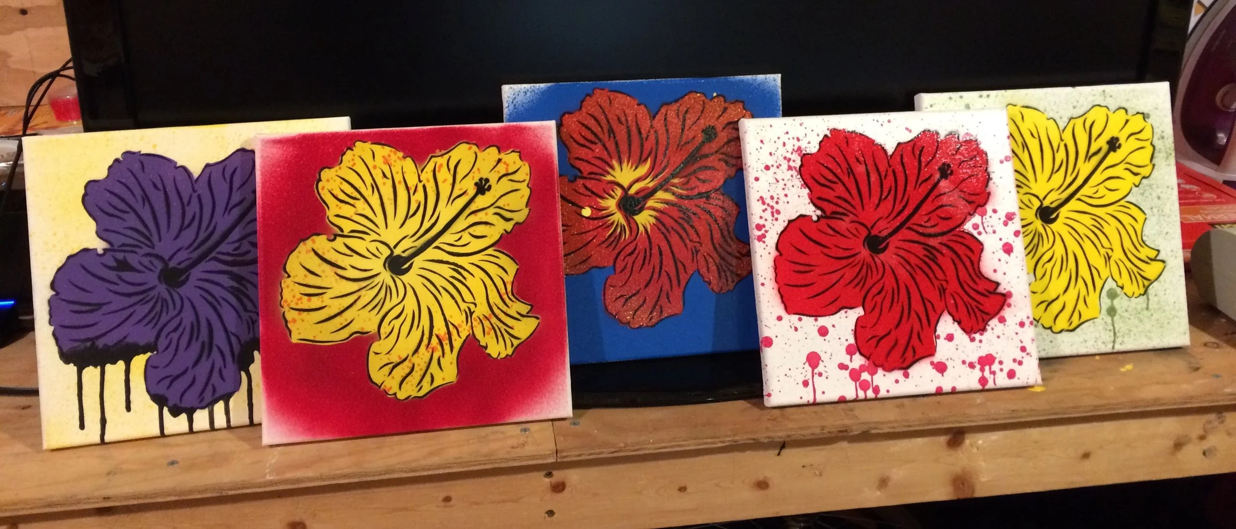 Hibiscus Row.jpg