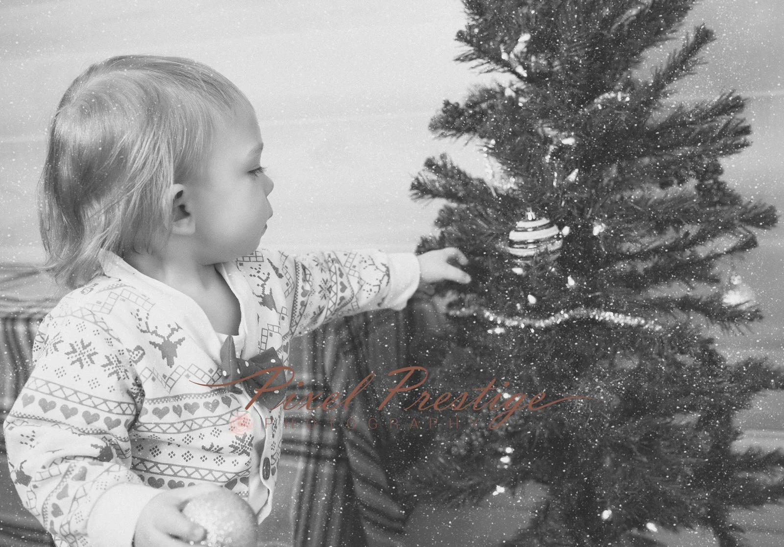 family christmas (10).jpg