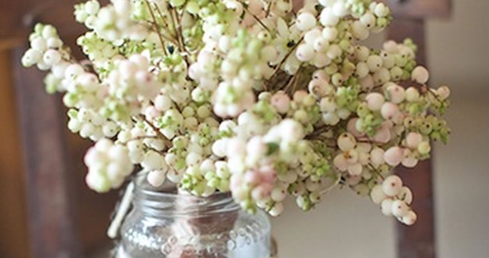 Image of Snowberry berries in a vase