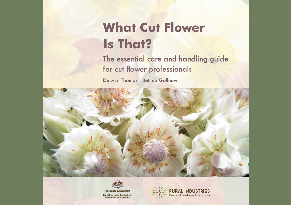 What Cut Flower is that -- Agrifutures ebook cover page.png