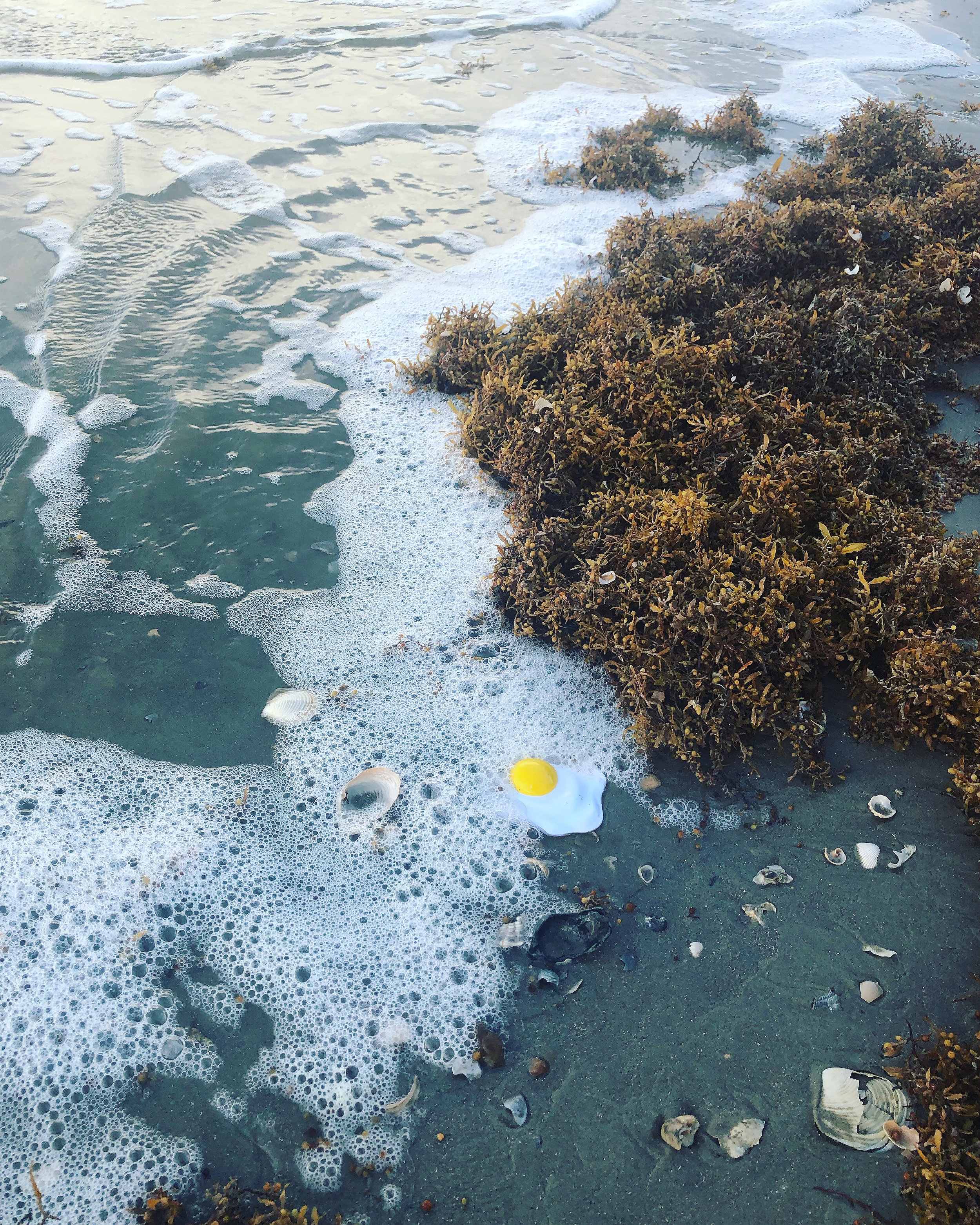  KB •&nbsp;Nashville, TN   @kkbbkb   Galveston Sunny Side Up with Sea Foam , 2019  “I was inspired by my niece's plastic egg toy so I decided to take it around and shoot it in spots eggs don't belong.” 