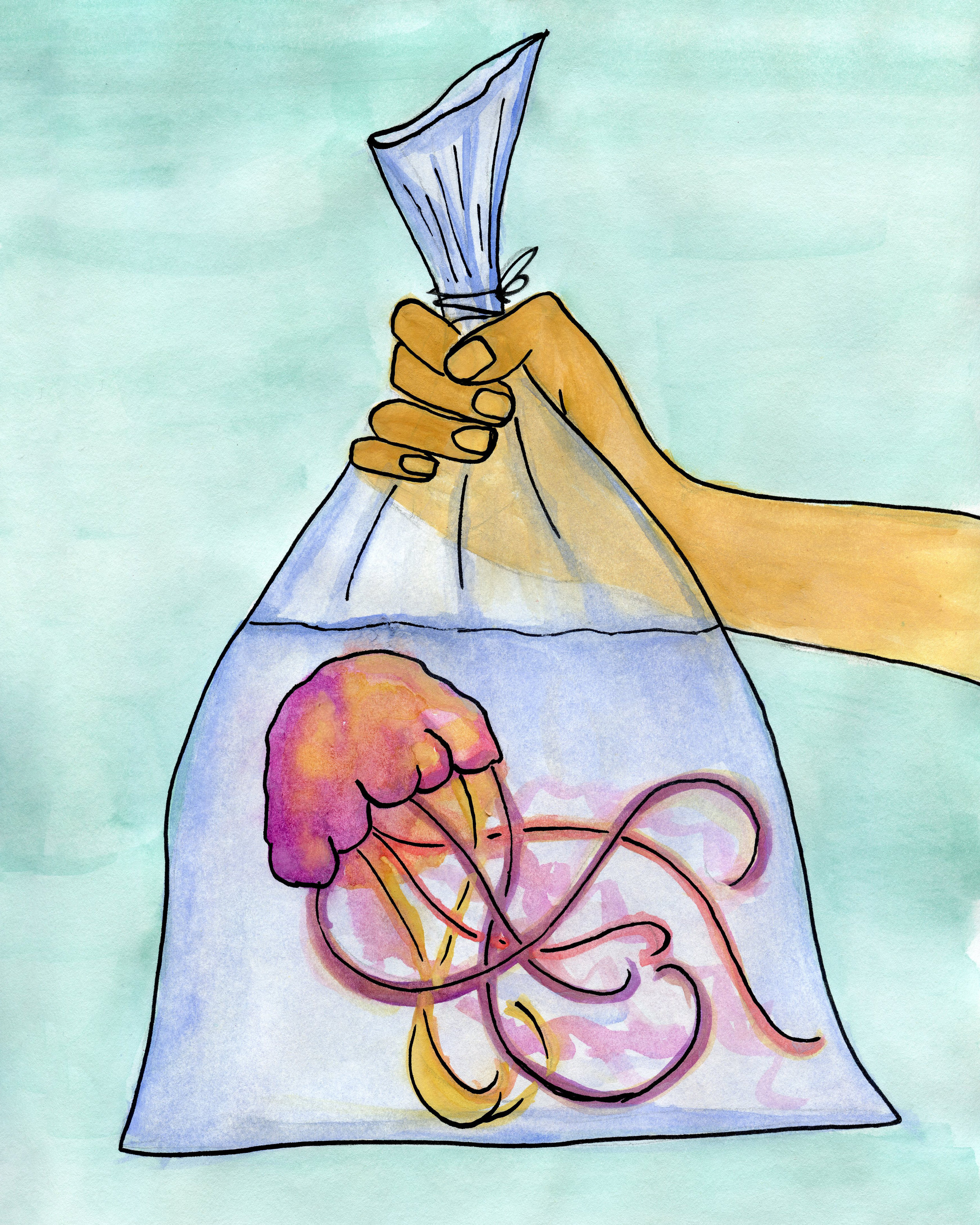 Kirsten Kaiser • Austin, TX @kirstenkaiserphoto / kirstenkaiserphotography.com “We are turning our oceans into plastic environments, which should be to us just as absurd as seeing a sea creature confined to a plastic carnival prize bag. This issue needs our attention, now.”