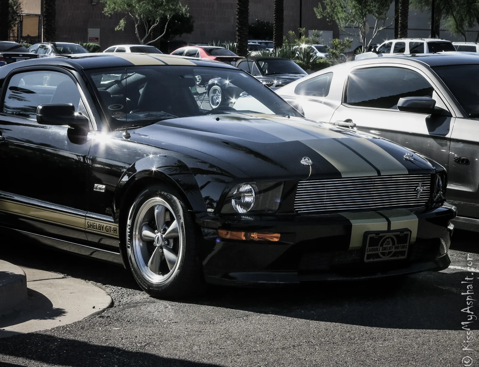 Shelby-GT-H.jpg
