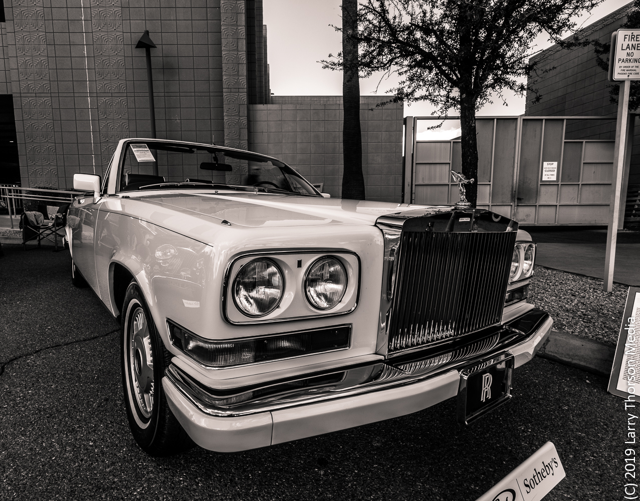 Camargue-7.jpg