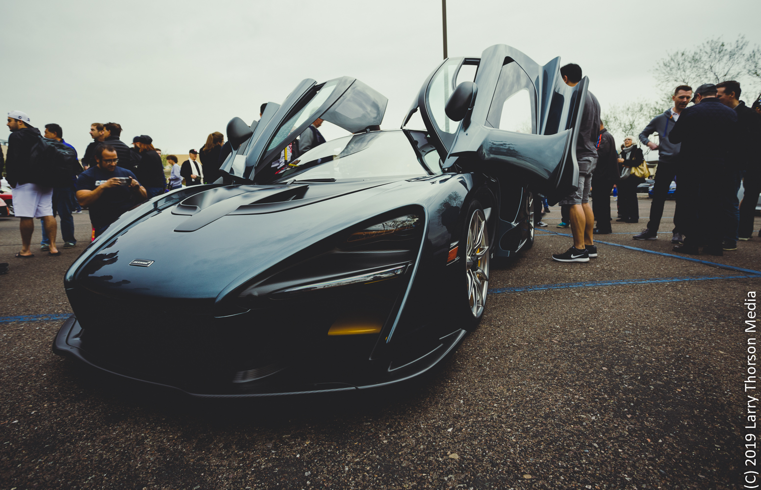 senna-2.jpg