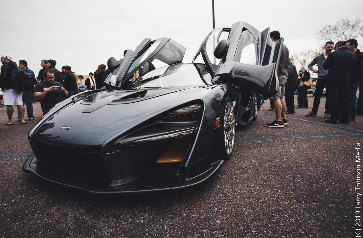 senna-3.jpg