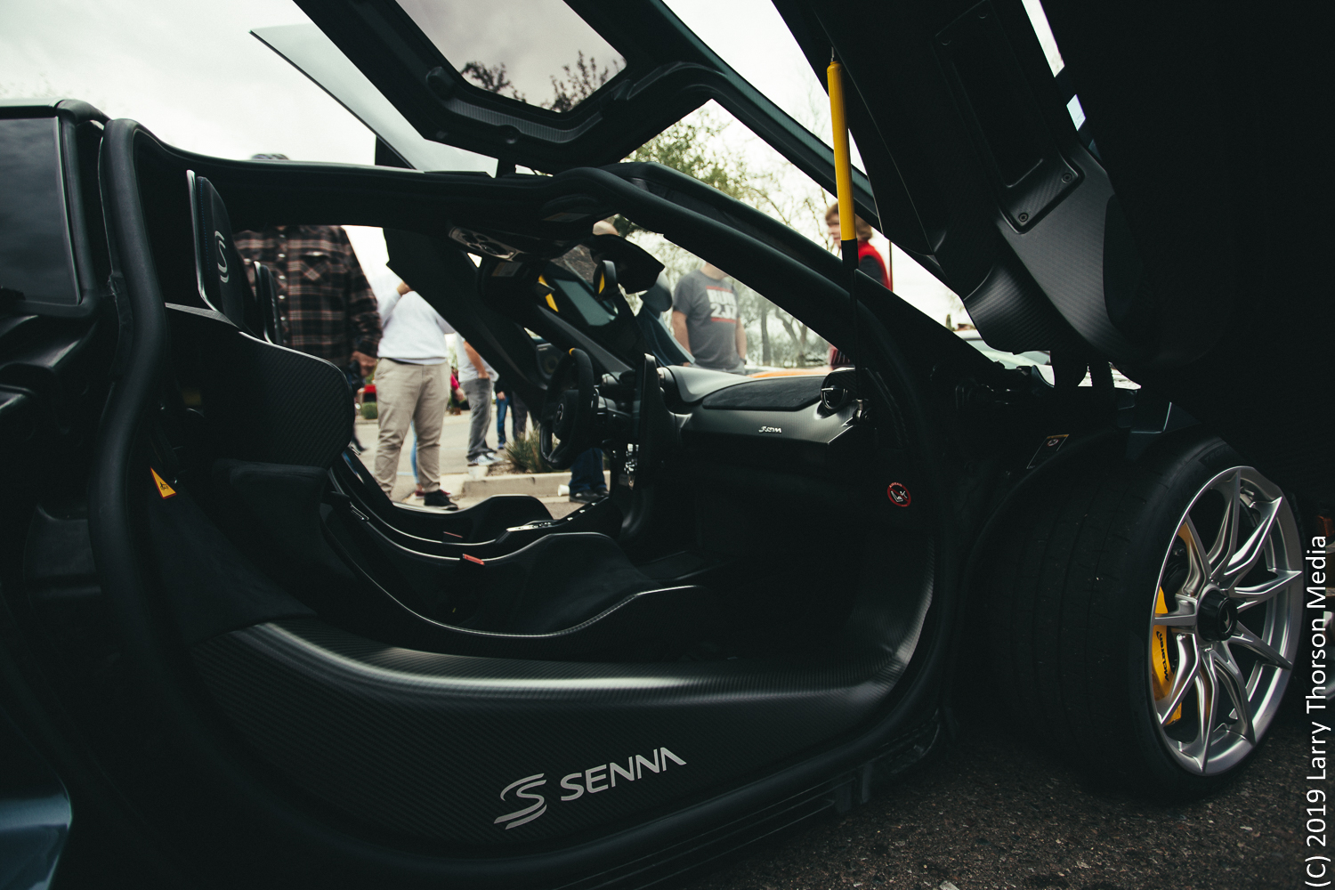 senna-10.jpg