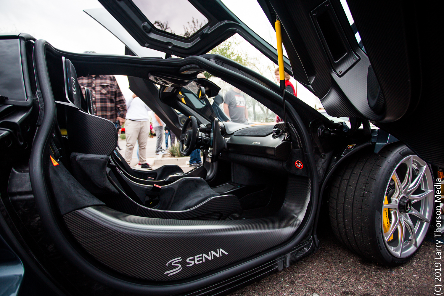 senna-11.jpg