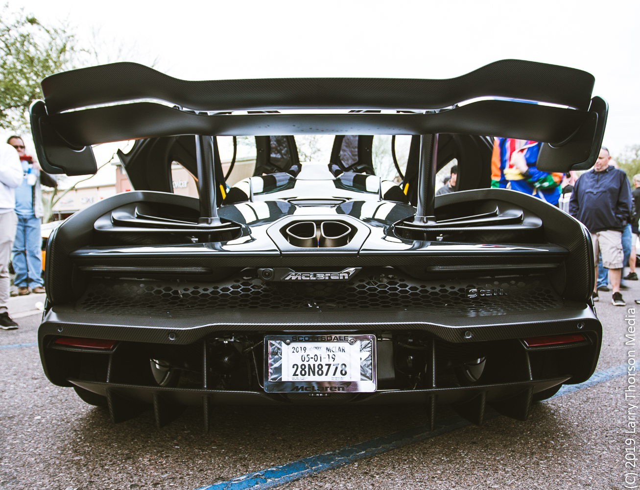 senna-14.jpg