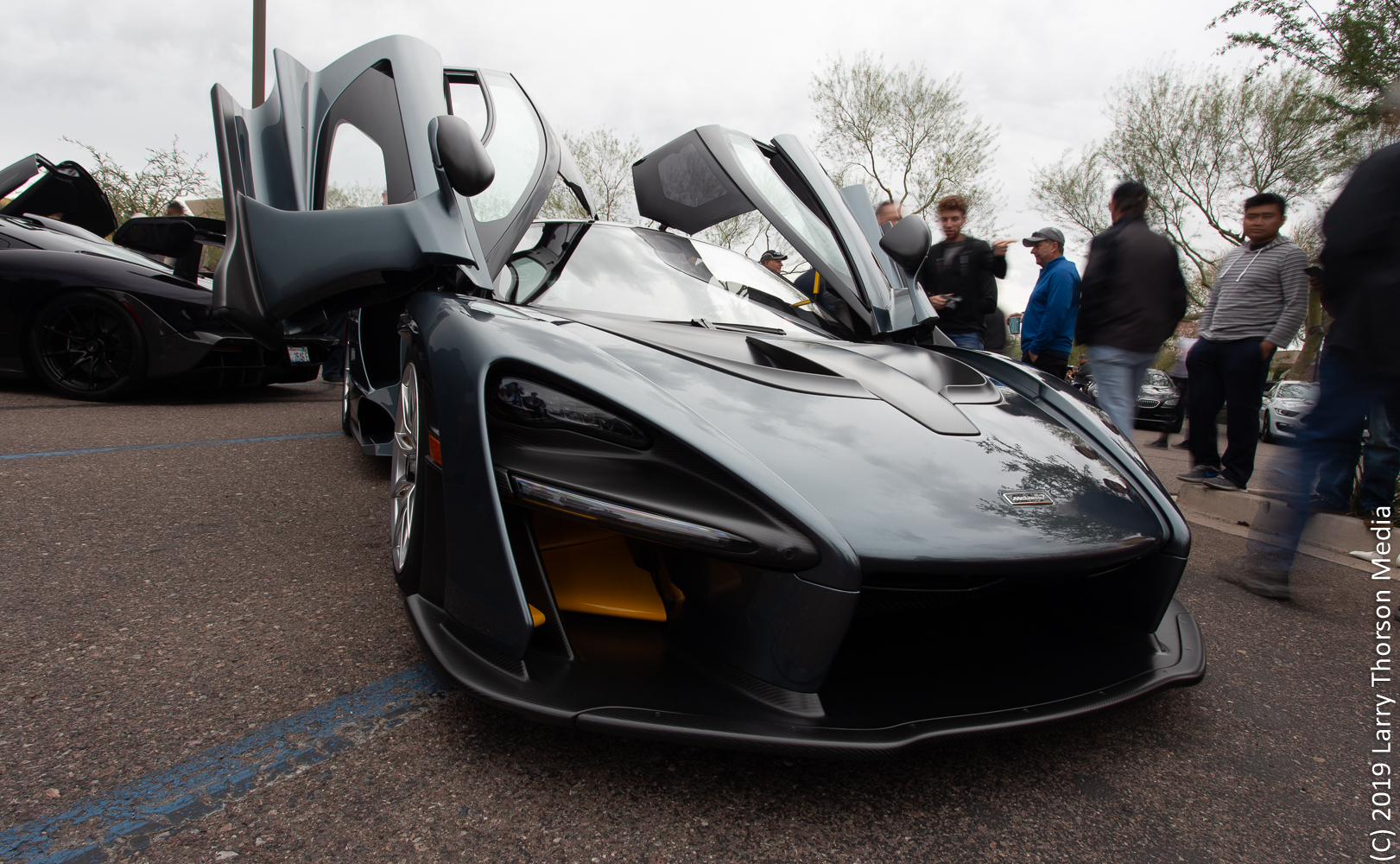 senna-23.jpg