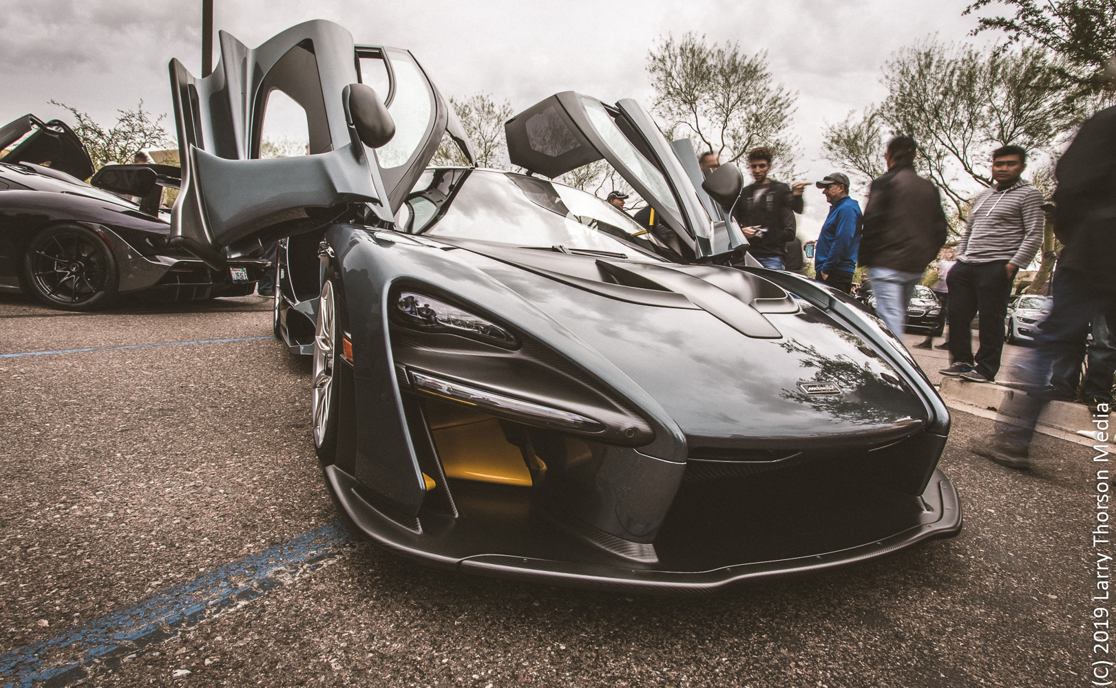 senna-24.jpg
