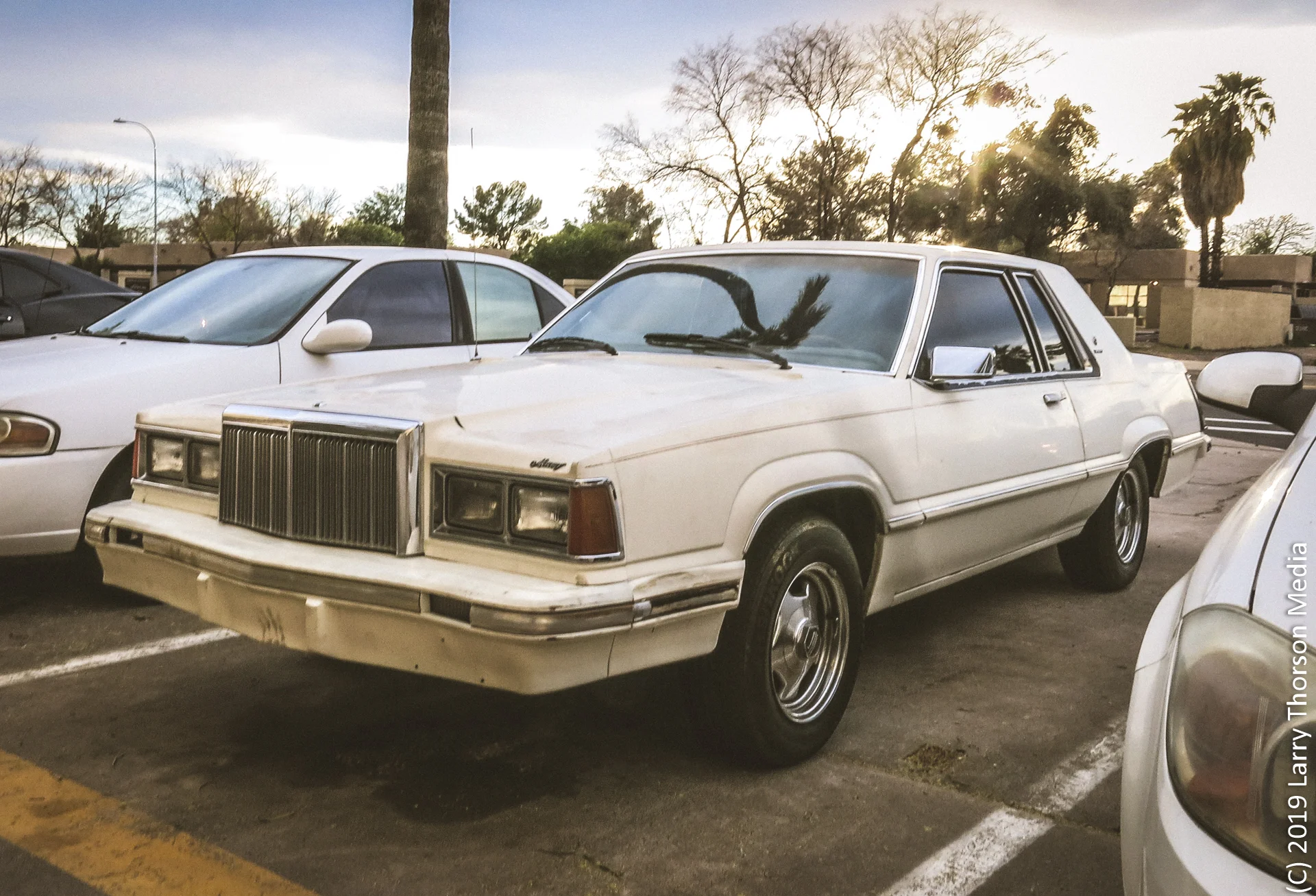 1982 Mercury Cougar-5.jpg