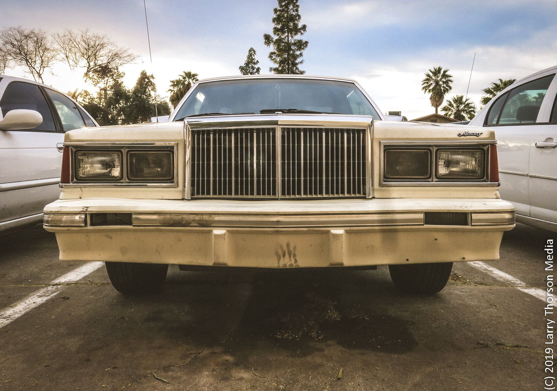 1982 Mercury Cougar-3.jpg