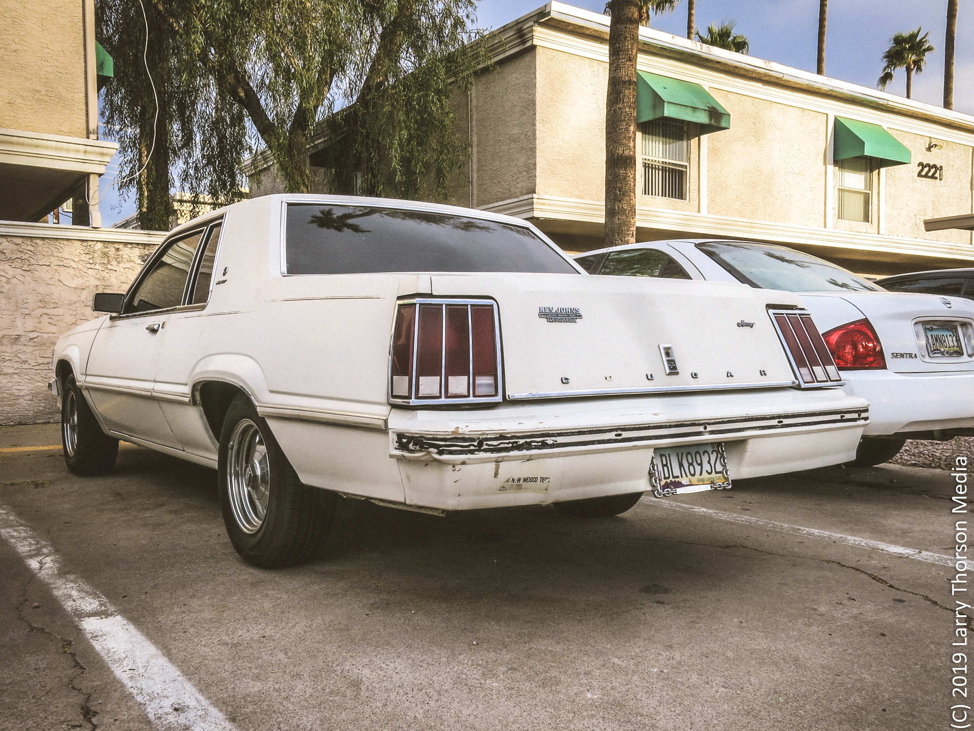 1982 Mercury Cougar-8.jpg