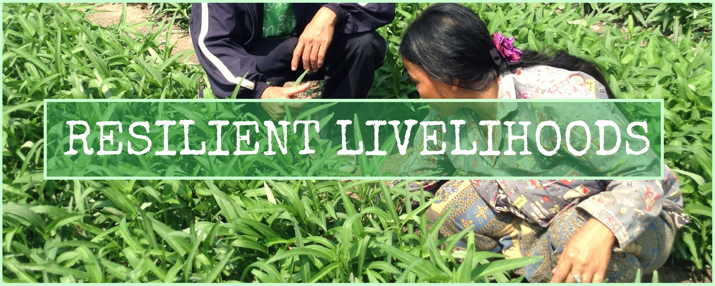 Poor families should have opportunities to sustainable and resilient livelihoods that meet their needs.