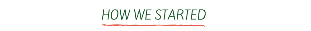 How We Started (2).png