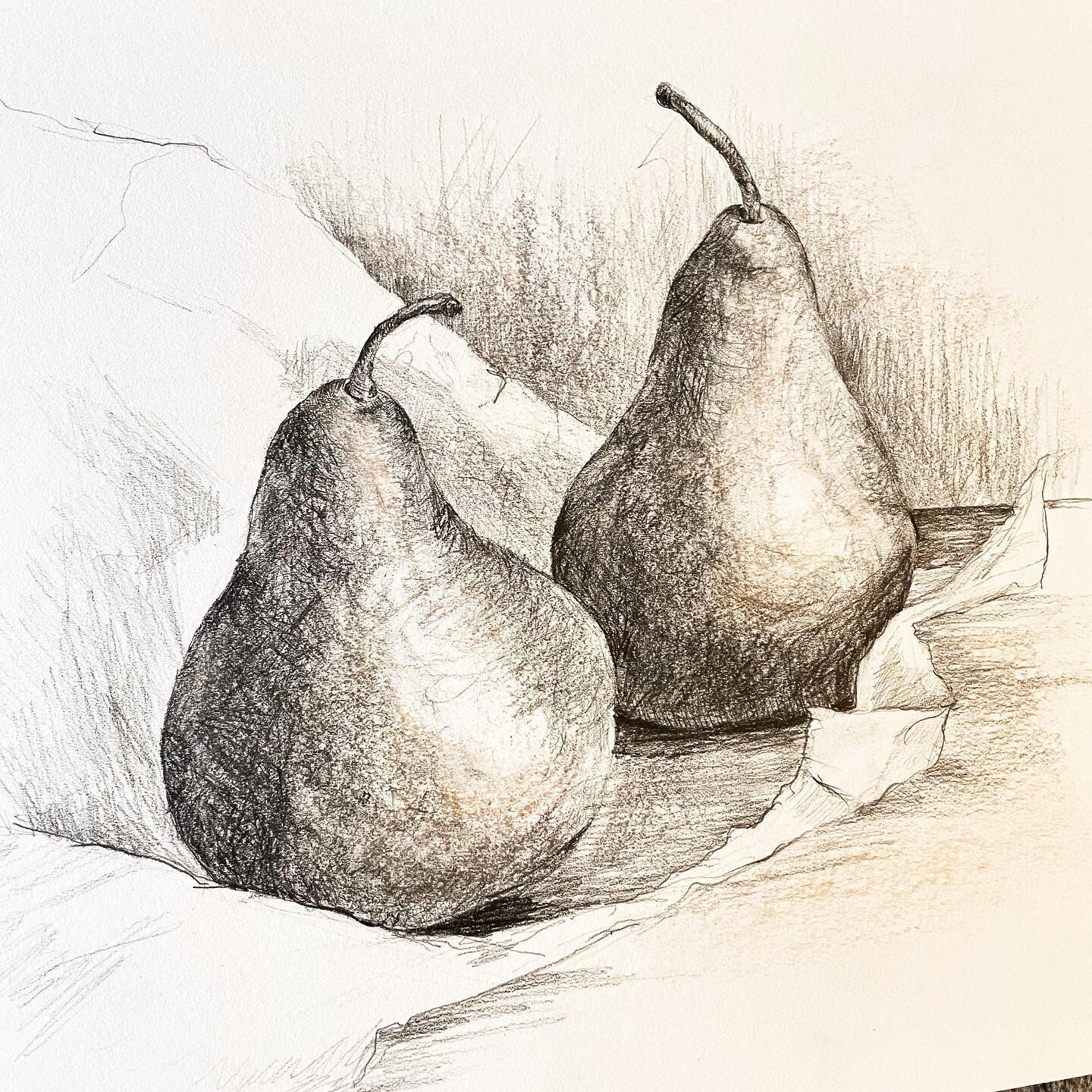 Simple pleasures

#stilllife #backtobasics #academicpainting #pears #peardrawing 
#drawingstudy #launcestontasmania #tasmanianartist #tasmanianart #sikorskameikle #learntodraw #learningdrawing #fruitdrawing #crosshatching #artist_sharing #drawingofth