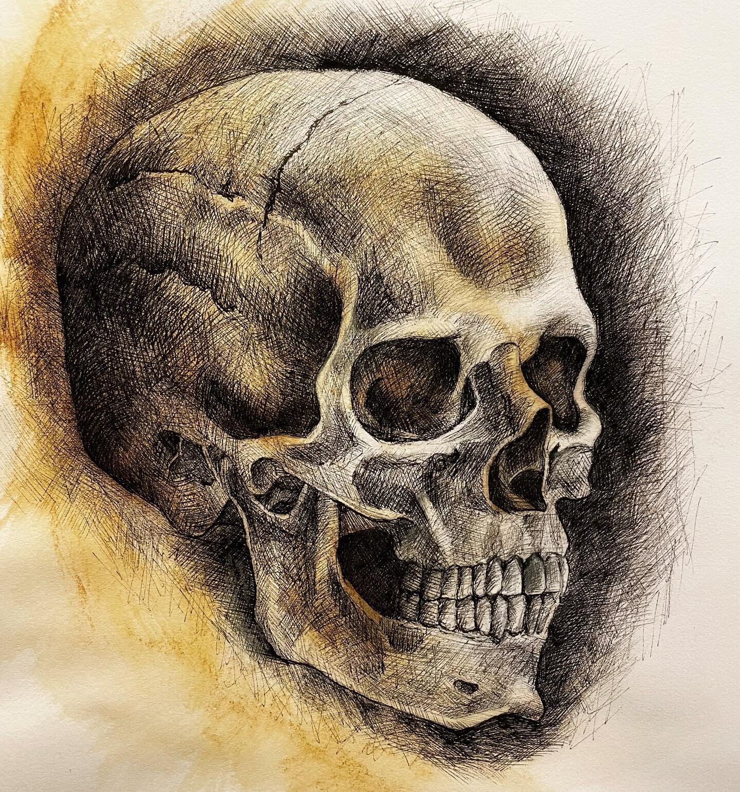 Skull study 

#crosshatching #skull #skulldrawing #humanskull #academicdrawing #pendrawing #inkdrawing #artgraf #drawalongwithfrance #tasmanianart #tasmanianartist #drawingpractice #sketchbook #drawingart #crosshatchingtechnique #crosshatchingart #si