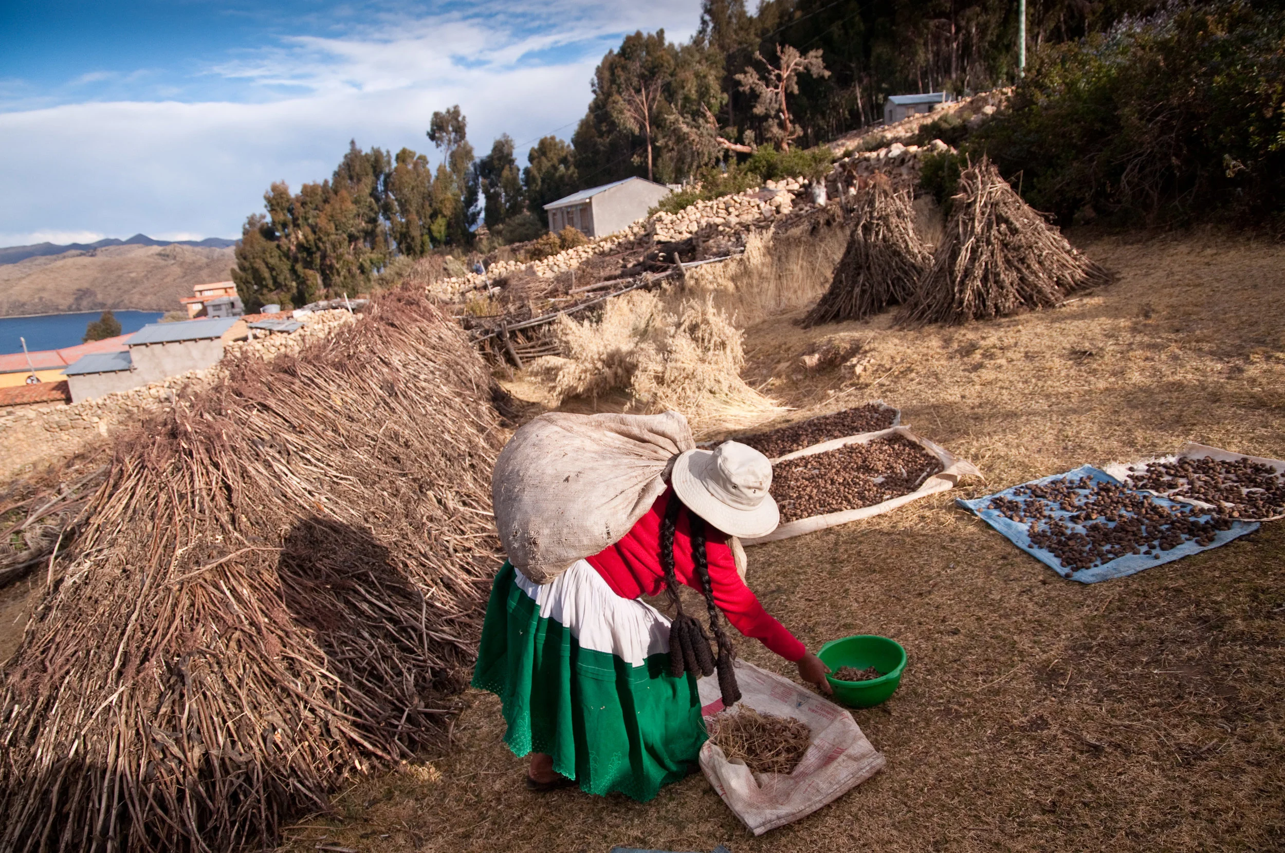 20110722_Bolivia_7963.jpg