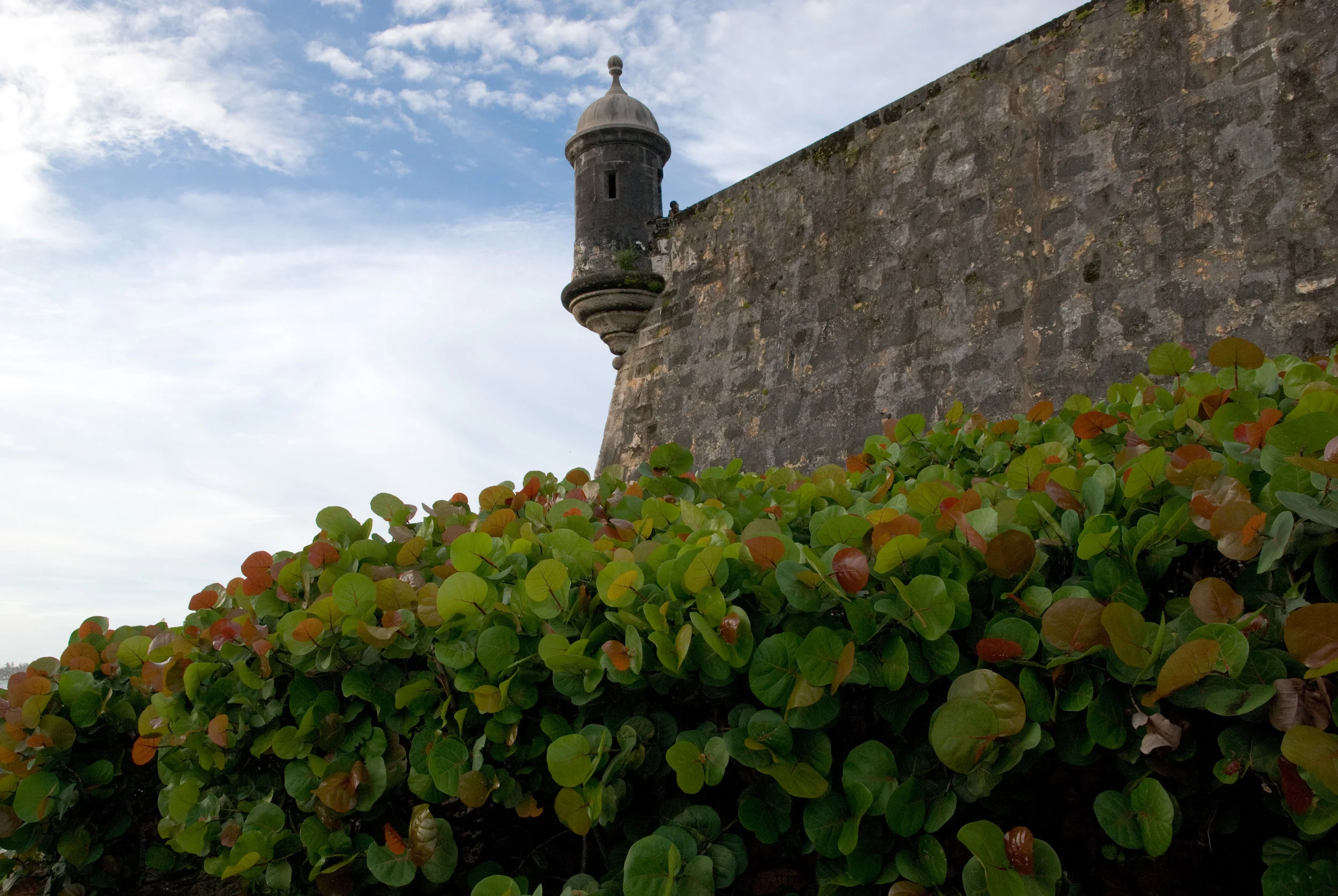 20081109_Puerto Rico_1377.jpg