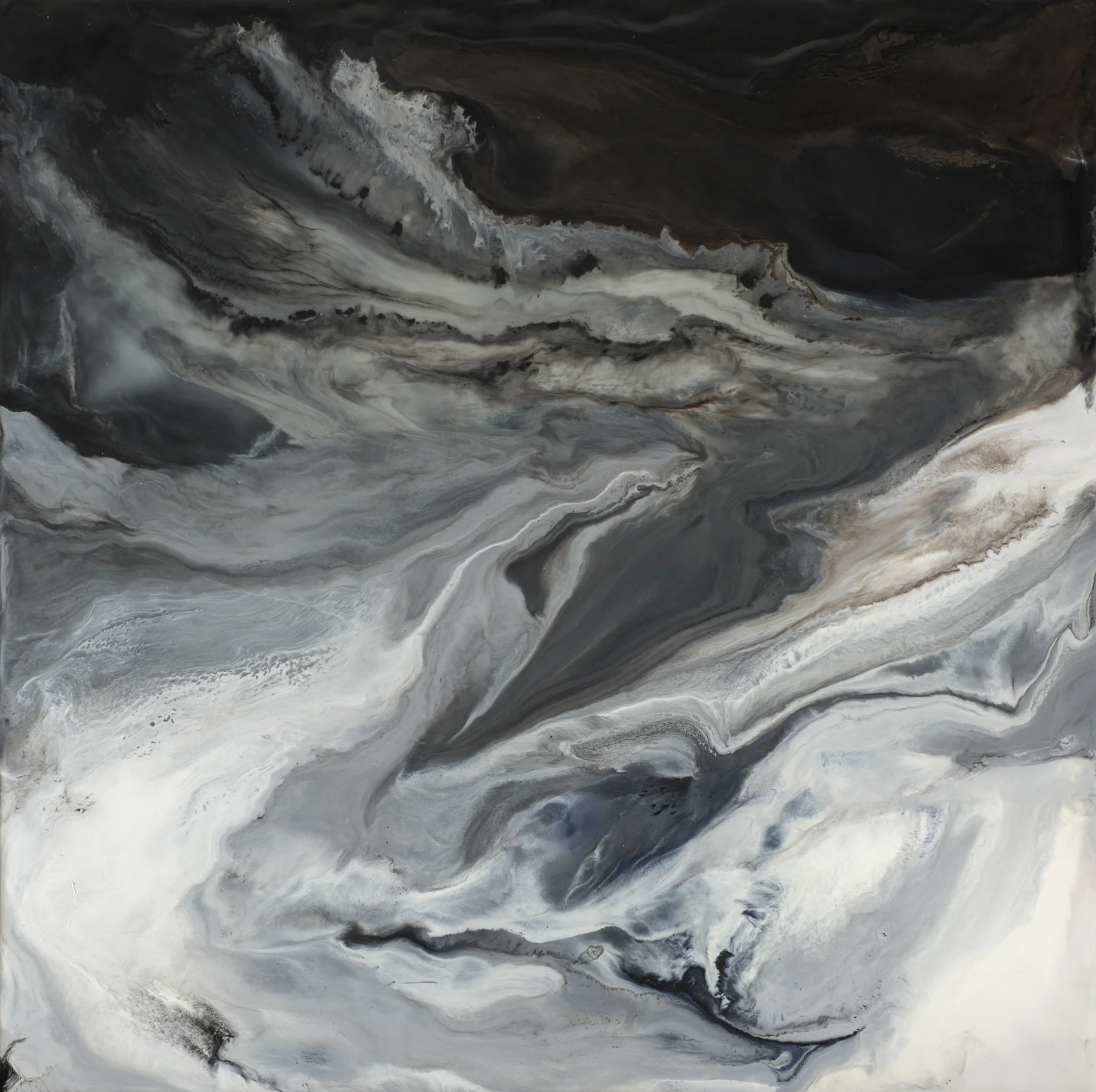 Cynosure_24x24.jpg