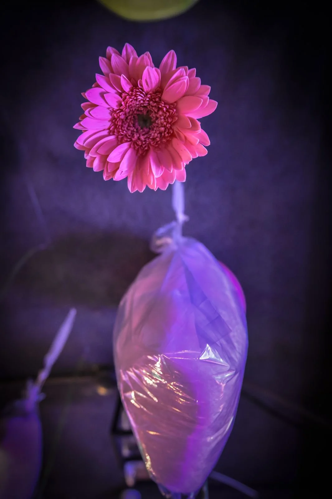 WhatsApp Image 2021-11-07 at 4.15.43 PM.jpeg