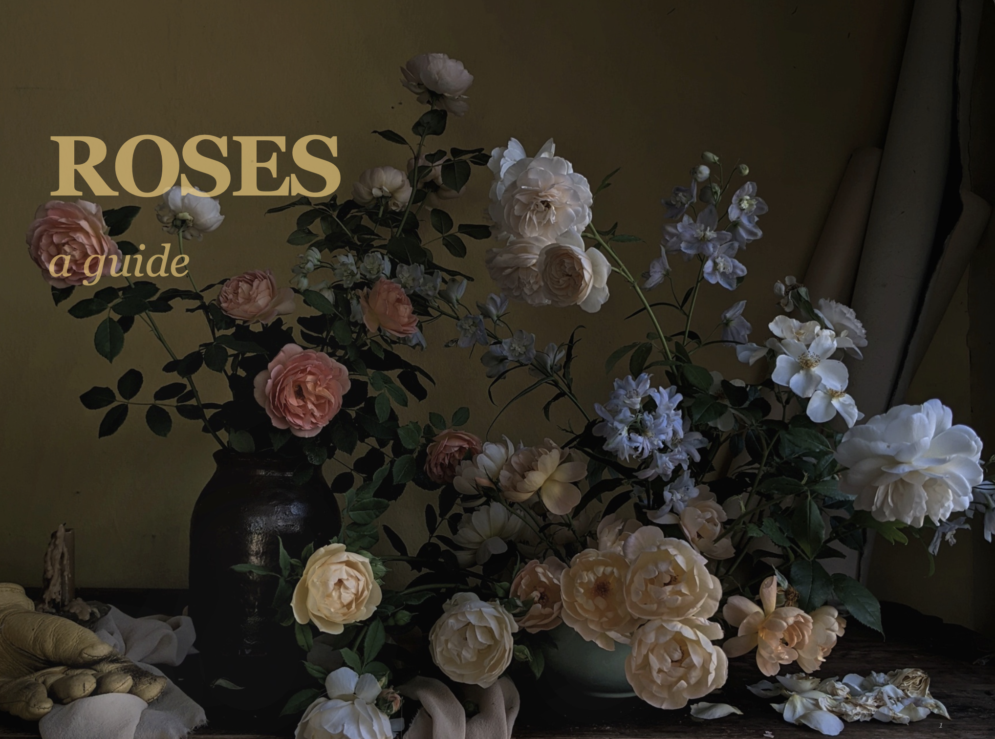 Roses, A Guide to Growing (E-Book)