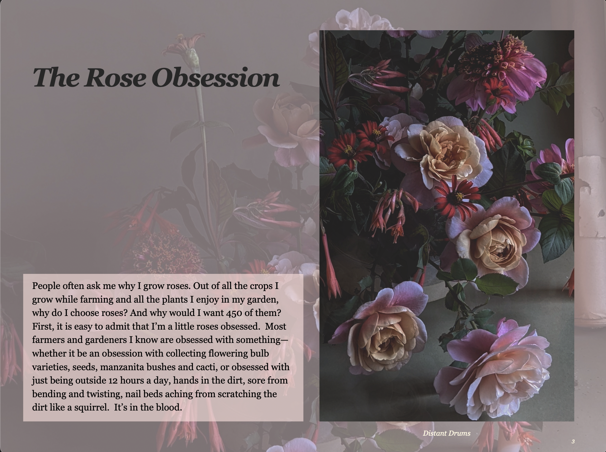 Screen Shot 2024-02-04 at 8.20.03 PM.png